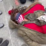 distressed-woman-yells-“f*ck-america!”-before-having-a-‘seizure’-on-kenosha-courthouse-steps-after-rittenhouse-found-not-guilty-(video)