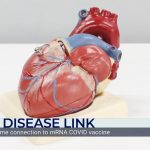leading-cardiologist-says-researchers-are-refusing-to-publish-supporting-study-results-that-show-covid-vaccine’s-link-to-massive-increase-in-heart-attacks