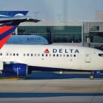 woman-on-delta-flight-caught-breastfeeding-her-hairless-cat-wrapped-in-a-blanket-–-refuses-to-put-it-back-in-cage