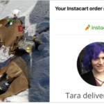 instacart-driver-“tara”-runs-over-elderly-couple’s-groceries-after-spotting-pro-police-sign-in-yard