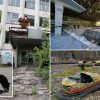 inside-the-chernobyl-exclusion-zone-where-mutant-wolves-have-developed-cancer-resilient-genomes:-photos