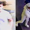 update:-new-york-city-police-identify-and-arrest-migrant-youth-who-shot-tourist-during-robbery-in-midtown-manhattan-and-then-opened-fire-on-law-enforcement
