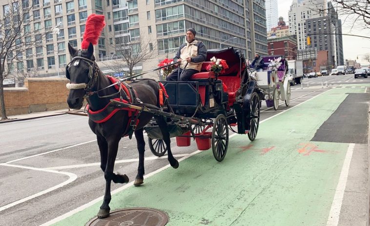 nyc-cyclists-rage-about-horse-carriages-blocking-new-bike-lane-to-central-park