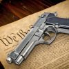 hawaii-supreme-court-controversially-rejects-second-amendment-right,-rules-“in-hawaii,-there-is-no-state-constitutional-right-to-carry-a-firearm-in-public”