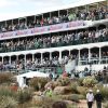 woman-hospitalized-after-fall-from-stands-at-16th-hole-in-tpc-scottsdale