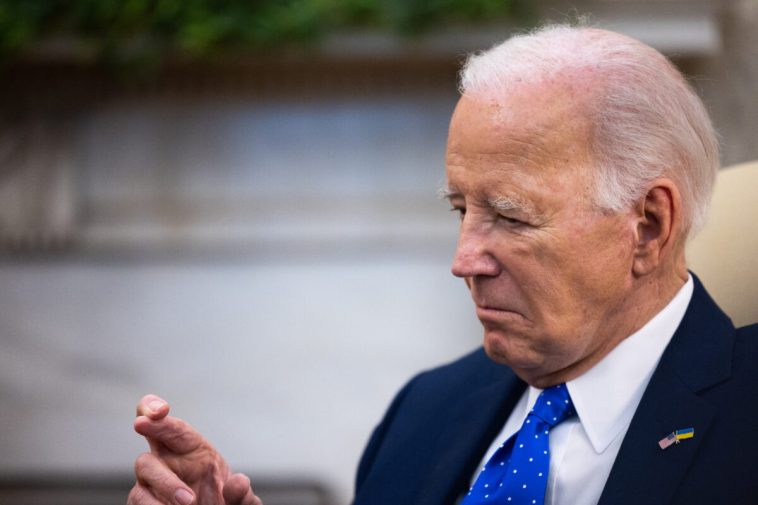 86%-of-americans-say-biden-too-old-for-another-term:-poll