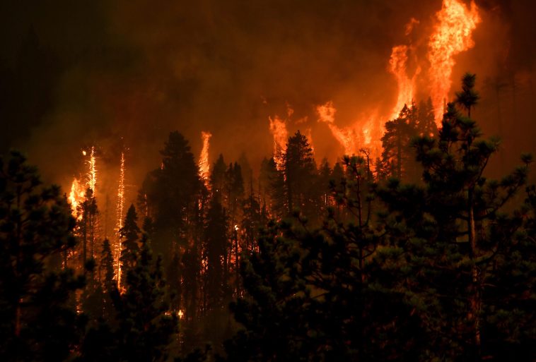 couple-whose-gender-reveal-party-sparked-massive-california-wildfire-sentenced