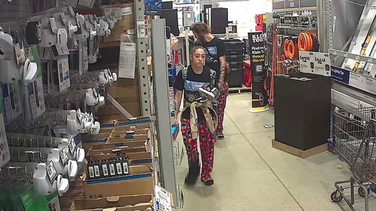 florida-couple-wears-matching-cookie-monster-pajamas-during-attempted-armed-robbery-at-hardware-store:-police