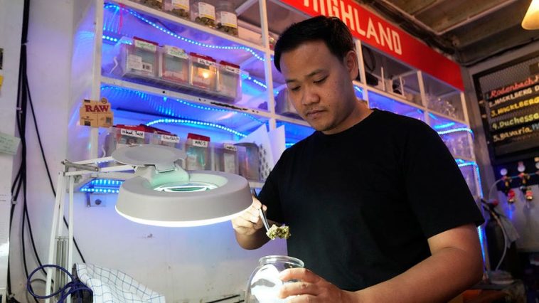 thai-lawmakers-consider-ban-on-recreational-marijuana-2-years-after-legalization