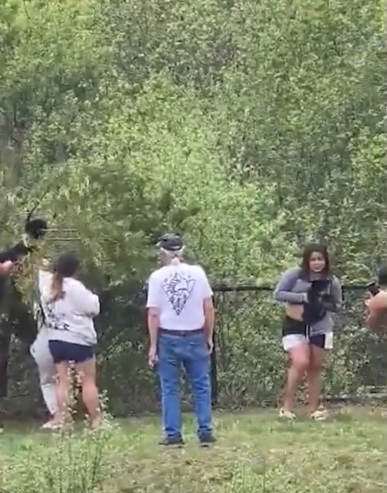 group-snatches-bear-cubs-out-of-tree-just-to-take-selfies-with-them-in-disturbing-clip