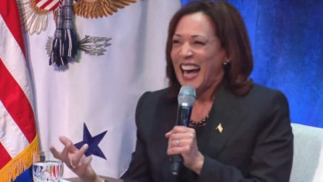 recent-focus-groups-suggest-that-no-one-likes-kamala-harris-or-wants-her-to-take-over