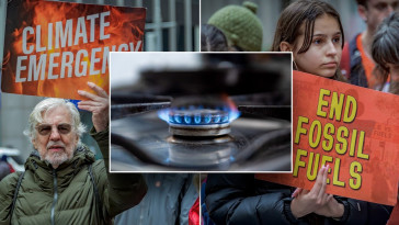 left-wing-climate-group-with-shady-backing-takes-prominent-role-against-gas-stoves