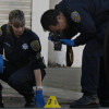 the-role-of-forensic-science-in-solving-true-crime-cases