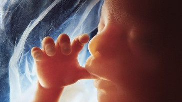 poll:-supermajority-of-american-voters-oppose-abortion-past-12-weeks