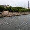 paris-mayor-confident-river-seine’s-water-quality-good-enough-for-olympic-swimming