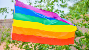 bill-that-would-ban-pride-flags-in-schools-fails-in-gop-controlled-tn-senate