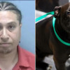 florida-man-shoots-family-dog-in-the-face-during-argument-over-infidelity:-police