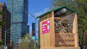 honey,-they’re-home!-‘bee-hotels’-coming-to-7-nyc-plazas-to-help-at-risk-pollinators