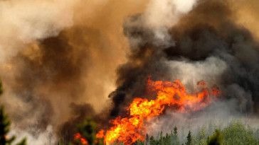 out-of-control-wildfires-return-to-canada,-forcing-evacuations