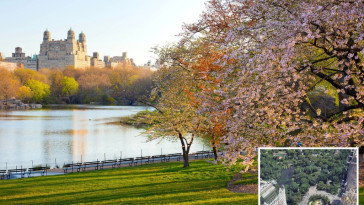 man-punched-in-the-face,-robbed-at-gunpoint-by-callous-trio-at-central-park-in-broad-daylight